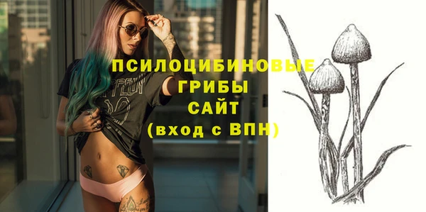 СК Алексеевка