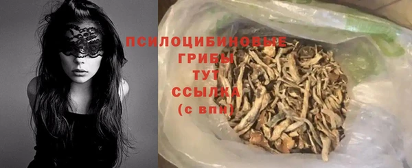 сатива Алзамай