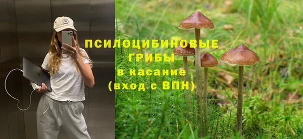 а пвп мука Алексин