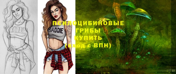 стаф Абаза
