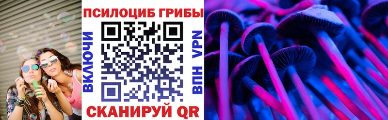 Галлюциногенные грибы Psilocybine cubensis хочу наркоту Новоалтайск