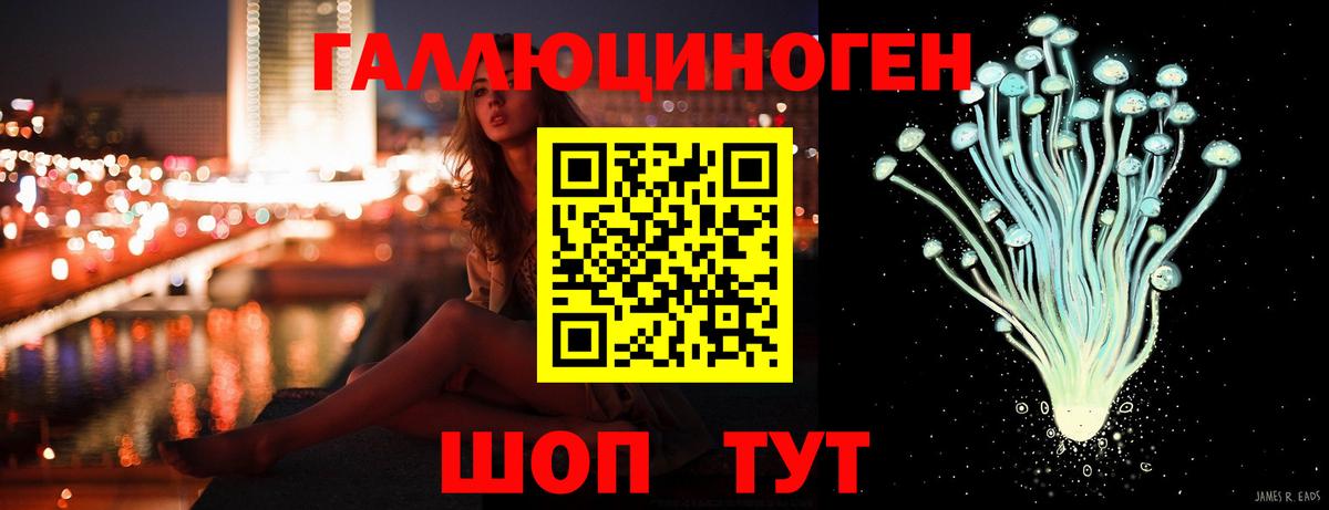 Новоалтайск  Псилоцибиновые грибы Psilocybe  Вход с VPN 
